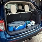 Cargo Area Management System